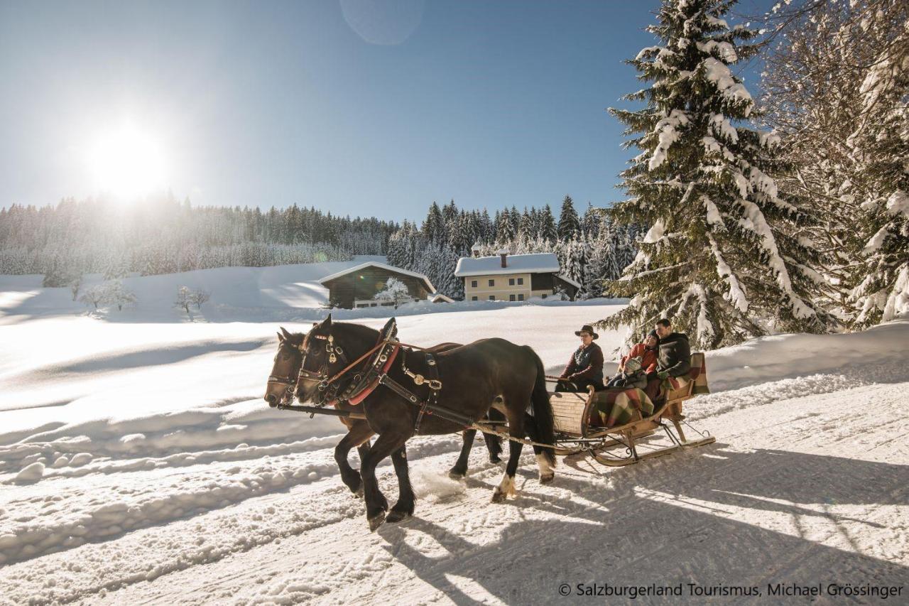 Hideaway Dachstein West By Alps Resorts 상트마틴암테넨게비르게 외부 사진